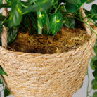 Ennio Faux Potted Hanging Plant (3.9 Feet) ArtiPlanto