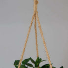 Ennio Faux Potted Hanging Plant (3.9 Feet) ArtiPlanto