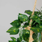 Ennio Faux Potted Hanging Plant (3.9 Feet) ArtiPlanto