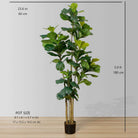 FAFA Artificial Fiddle Leaf Potted Plant (Multiple Sizes) ArtiPlanto
