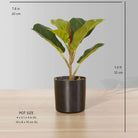 FAFA Artificial Fiddle Leaf Potted Plant (Multiple Sizes) ArtiPlanto