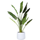 Fabi - White Brass Floor Planter ArtiPlanto