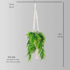 Franco Faux Potted Macrame Hanging Plant (3.8 Feet) ArtiPlanto