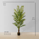GALI ARTIFICIAL FERN POTTED PLANT 5' ArtiPlanto