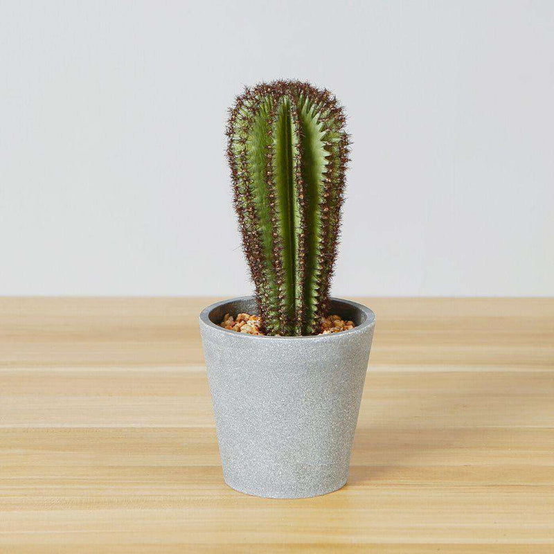Goza Artificial Cactus Tree Potted Plant 9