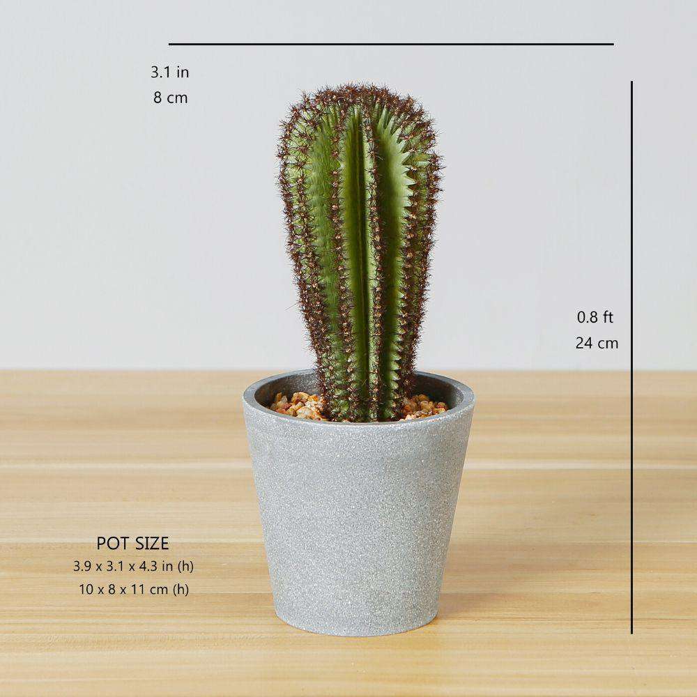 GOZA ARTIFICIAL CACTUS TREE POTTED PLANT 9'' ArtiPlanto