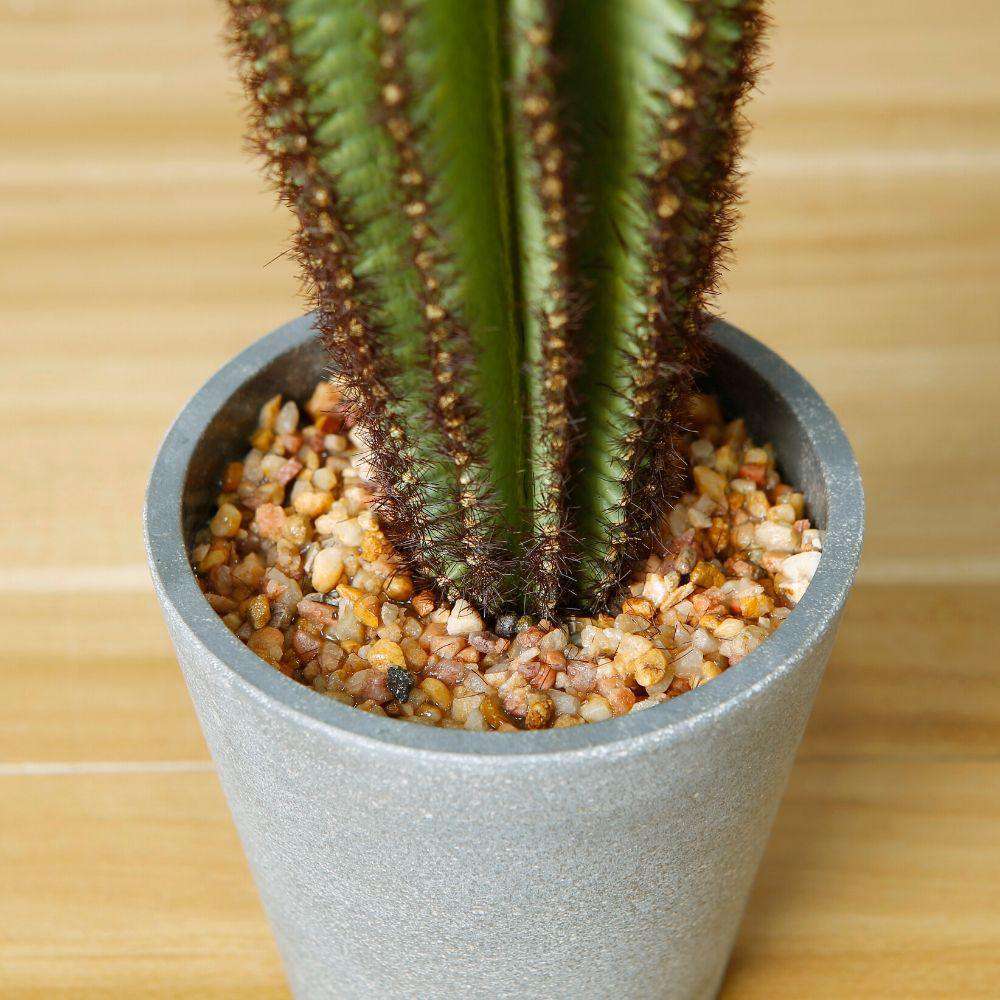GOZA ARTIFICIAL CACTUS TREE POTTED PLANT 9'' ArtiPlanto