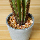 GOZA ARTIFICIAL CACTUS TREE POTTED PLANT 9'' ArtiPlanto