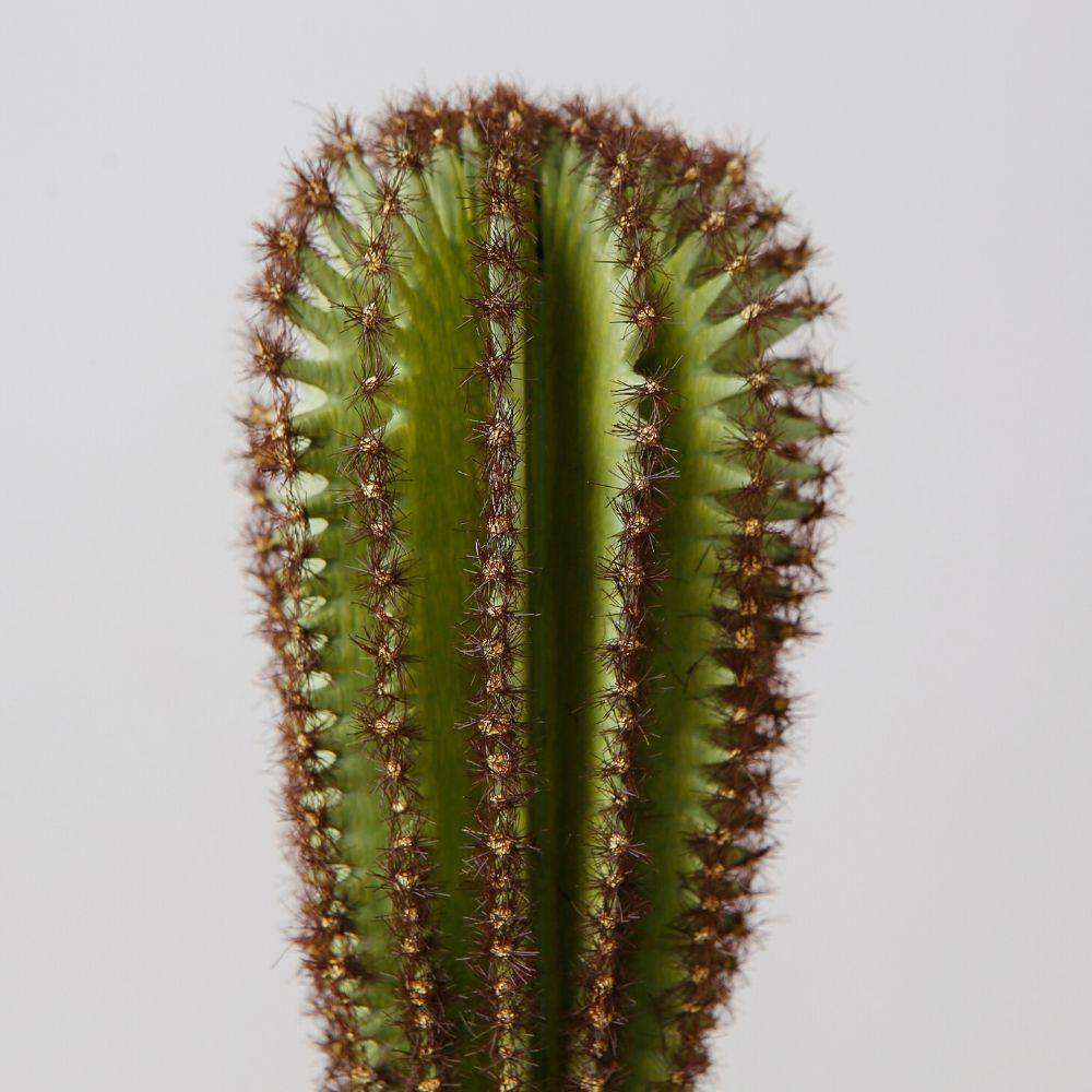 GOZA ARTIFICIAL CACTUS TREE POTTED PLANT 9'' ArtiPlanto