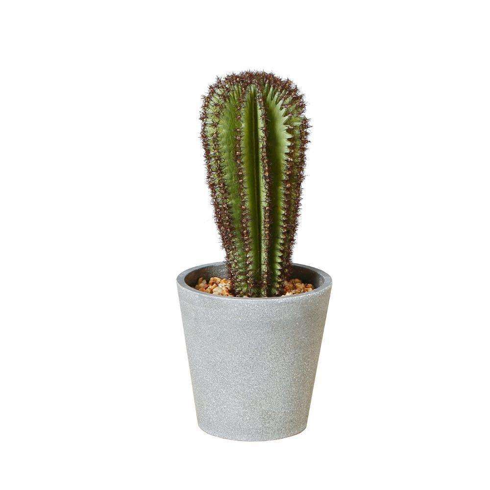 GOZA ARTIFICIAL CACTUS TREE POTTED PLANT 9'' ArtiPlanto