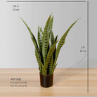 JOSE ARTIFICIAL SNAKE SANSEVIERIA DARK GREEN POTTED PLANT 26' ArtiPlanto