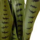 JOSE ARTIFICIAL SNAKE SANSEVIERIA DARK GREEN POTTED PLANT 26' ArtiPlanto