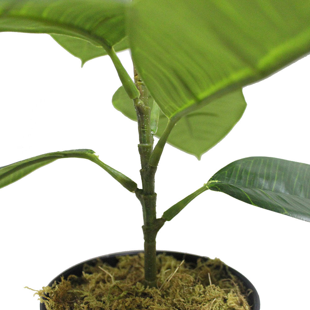 Iza Artificial Rubber Potted Plant 1.4'