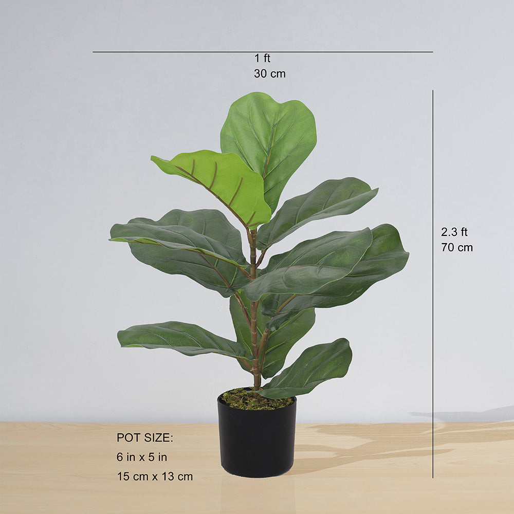 Anza Artificial Fiddle Leaf Potted Plant (Multiple Sizes)