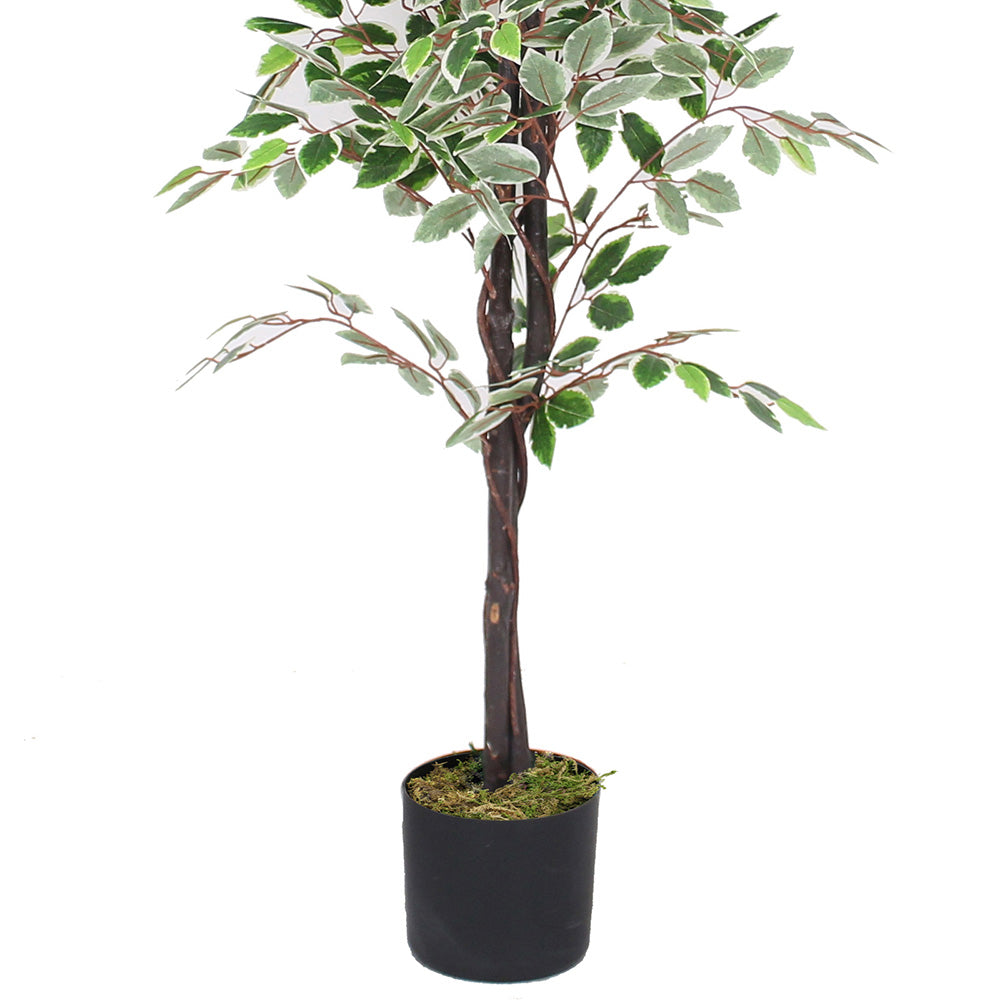 Olaya Artificial Ficus Potted Plant 6'
