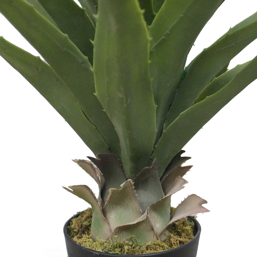 Tunja Artificial Century Potted Plant (Multiple Sizes)