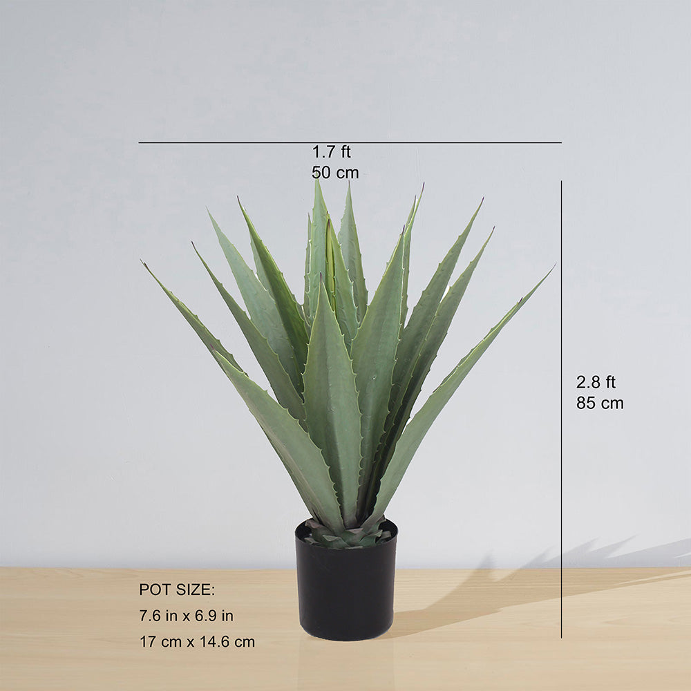 Tunja Artificial Century Potted Plant (Multiple Sizes)