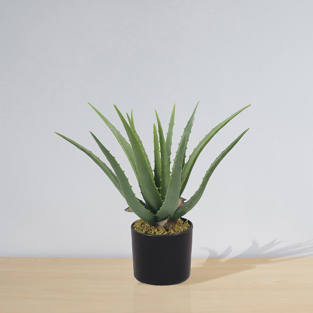 Guamo Artificial Aloe Vera Potted Plant (Multiple Sizes)