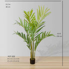 KENTIA ARTIFICIAL KING PALM POTTED PLANT 5' ArtiPlanto