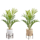 KENTIA ARTIFICIAL KING PALM POTTED PLANT 5' ArtiPlanto