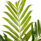 KENTIA ARTIFICIAL KING PALM POTTED PLANT 5' ArtiPlanto