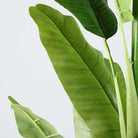 KIKI Artificial Banana Tree Potted Plant 55'' ArtiPlanto