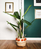 KIKI Artificial Banana Tree Potted Plant 55'' ArtiPlanto