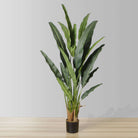KOLA Artificial Travellers Palm Tree Potted Plant (Multiple Sizes) ArtiPlanto