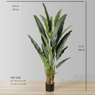 KOLA Artificial Travellers Palm Tree Potted Plant (Multiple Sizes) ArtiPlanto