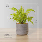 KUTA POTTED FAUX FERN ArtiPlanto