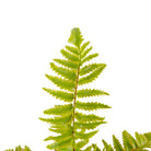 KUTA POTTED FAUX FERN ArtiPlanto