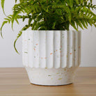 KUWU POTTED FAUX FERN ArtiPlanto