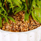 KUWU POTTED FAUX FERN ArtiPlanto