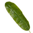 LEYA ARTIFICIAL BANANA TREE POTTED PLANT 10' ArtiPlanto