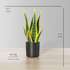 LUNA Artificial Snake Sansevieria Yellow & Green Potted Plant (MULTIPLE SIZES) ArtiPlanto