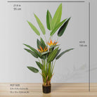 LUZA Artificial Bird Of Paradise Potted Plant (MULTIPLE SIZES) ArtiPlanto