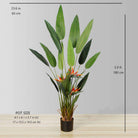 LUZA Artificial Bird Of Paradise Potted Plant (MULTIPLE SIZES) ArtiPlanto