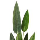LUZA Artificial Bird Of Paradise Potted Plant (MULTIPLE SIZES) ArtiPlanto
