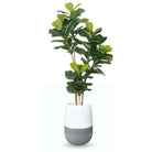 Lagos Cement Planter (Multiple Sizes) ArtiPlanto