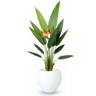 MERIDA ROUND CEMENT PLANTER (Multiple Sizes) ArtiPlanto