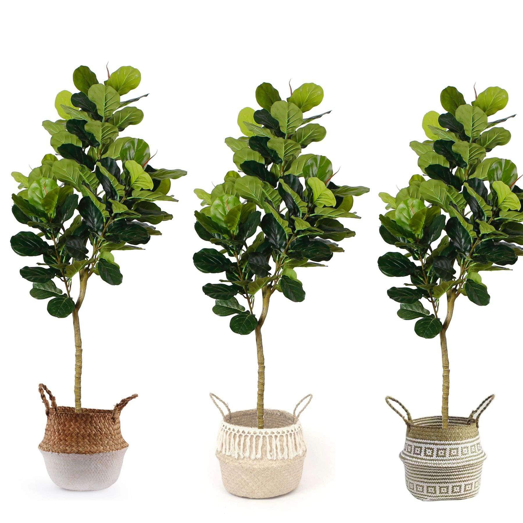 MILA ARTIFICIAL FIDDLE LEAF POTTED PLANT (MULTIPLE SIZES) ArtiPlanto