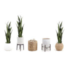 MILO Artificial Snake Sansevieria Dark Green Potted Plant (MULTIPLE SIZES) ArtiPlanto