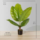 MOKA Artificial Spathiphyllum Leaf Potted Plant (Multiple Sizes) ArtiPlanto