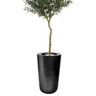 Mesa - Black Brass Planter (Multiple Sizes) ArtiPlanto