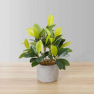 Moralilo Potted Faux Watercress Plant ArtiPlanto