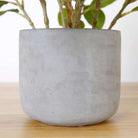 Moralilo Potted Faux Watercress Plant ArtiPlanto
