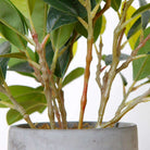 Moralilo Potted Faux Watercress Plant ArtiPlanto
