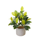 Moralilo Potted Faux Watercress Plant ArtiPlanto
