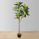 NERO Artificial Rubber Potted Plant 5' ArtiPlanto