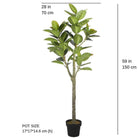 NERO Artificial Rubber Potted Plant 5' ArtiPlanto